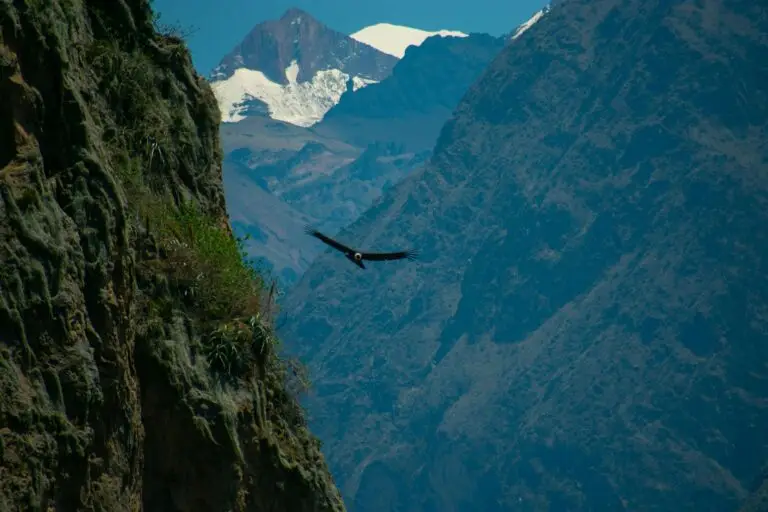 Colca Canyon vanuit Arequipa